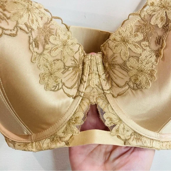 AERIE Sz 34DD Beige Lace Padded Underwire  Lace Trimmed Adjustable Strap Bra NEW - Picture 3 of 9